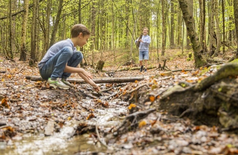 Camping bertrix speelbos 5